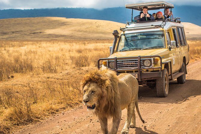 4 Days Private Safari - Tarangire, Serengeti & Ngorongoro Crater - Practical Details and What to Expect