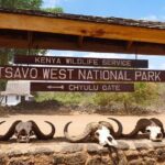 4 Days Private Safari Tour Tsavo and Amboseli from Nairobi - Potential Considerations