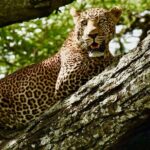4 days safari - What Travelers Love Most