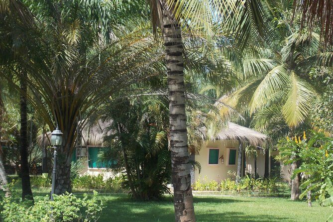 4 Days Senegambia Supremo - Transportation, Timing, and Practicalities