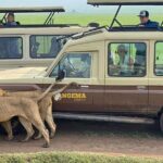 4 Days Serengeti, Ngorongoro and Tarangire Safari - Ngorongoro Crater: A Natural Wonder