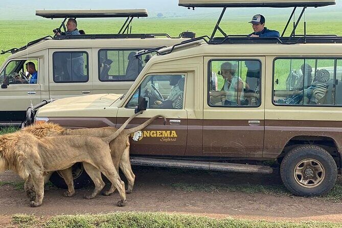 4 Days Serengeti, Ngorongoro and Tarangire Safari - Ngorongoro Crater: A Natural Wonder