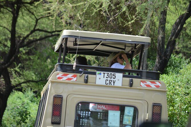4 days serengeti & ngorongoro mid range tour - What Makes This Tour Stand Out