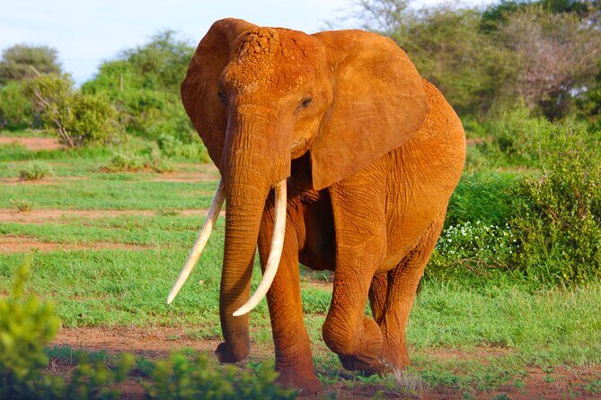 4 Days Tanzania Budget Group Join Safari- Serengeti & Ngorongoro - Practical Aspects & Tips for Travelers