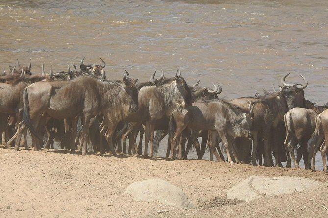 4 Days Tanzania Budget Safari - What Makes This Tour Stand Out