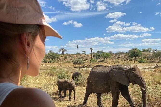 4 Days Tanzania Safari Tour - Who Is This Tour Best For?