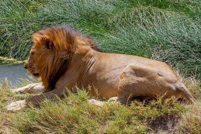 4 Days Tarangire , Ngorongoro ,Manyara and lake Eyasi village - Travel Details and Practicalities