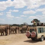 4 Days Tarangire Serengeti Ngorongoro Crater - Practical Tips & Considerations