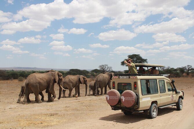 4 Days Tarangire Serengeti Ngorongoro Crater - Practical Tips & Considerations