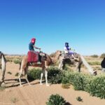 4 days trek - The legs of camels - Practical Details & Tips