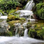 4 days trekking in the Rif mountains - What’s Included and What’s Not