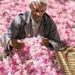 4 Days trip from FEZ to MARRAKECH and spending 2 Nights in MERZOUGA - Who Should Consider This Tour?