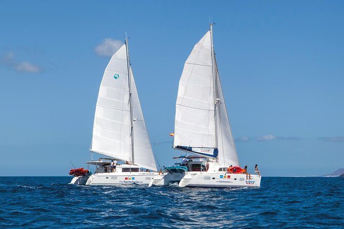 4-Hour Boat Trip to Isla de Lobos from Fuerteventura (Combo Deluxe) - What Makes This Tour Stand Out?