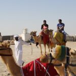 4 Hour Desert Safari, Camel Ride & Inland Sea Beach - The Value & Practicalities
