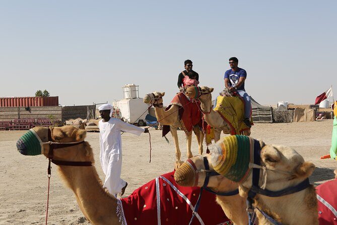 4 Hour Desert Safari, Camel Ride & Inland Sea Beach - The Value & Practicalities