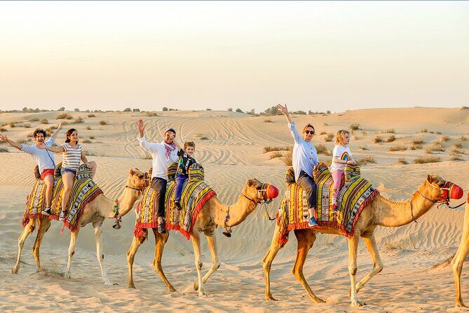 4 Hour Morning Desert Safari Tour with Camel Ride and Quad Bike - An In-Depth Look at the Desert Safari Experience