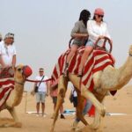 4-Hour Morning Safari with 60-Minute Buggy - Why This Tour Stands Out