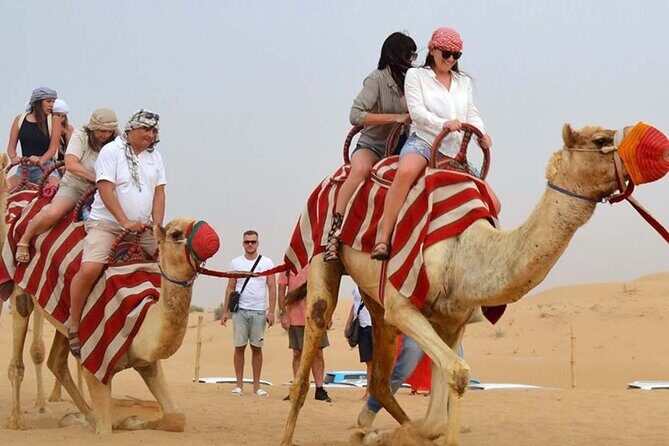 4-Hour Morning Safari with 60-Minute Buggy - Why This Tour Stands Out