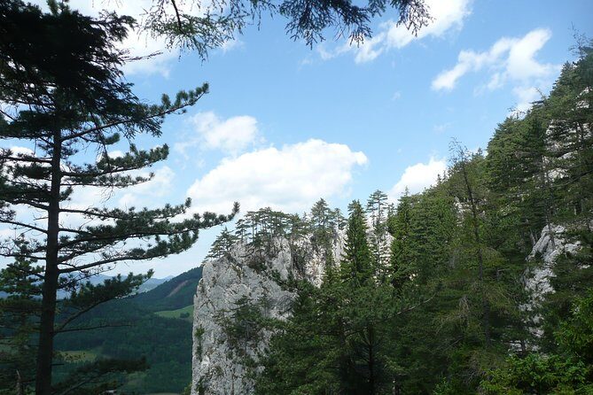 4-Hour Private Alpine Great George at High Wall Mountain from Vienna - What’s Included and What to Consider