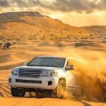 4-Hour Private Morning Desert Safari Jeep Admiring Desert Flora and Fauna - Analyzing the Value