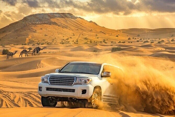 4-Hour Private Morning Desert Safari Jeep Admiring Desert Flora and Fauna - Analyzing the Value