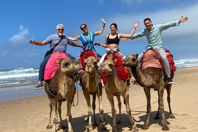4 Hour Private Sightseeing Tour and Tangier Historical Sights - Who Will Love This Tour?