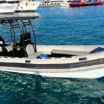 4-Hour Private Speedboat to See Dolphins from Hurghada - What Makes This Tour Stand Out?