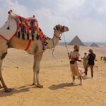 4 hour Private tour Giza pyramids ,sphinx and mummification temple tours - Why This Tour Offers Good Value