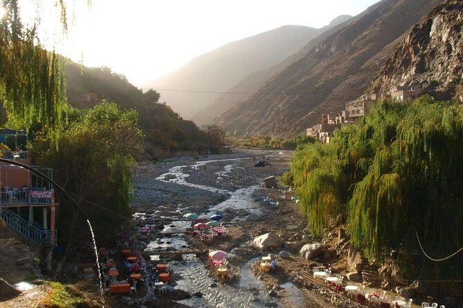 4 hours trekking in the Atlas mountains from Marrakech - What Travelers Say: Authentic Insights from Reviews