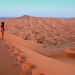 4x4 Arabian Adventure Desert Safari with BBQ Dinner - Is This Tour Worth It?