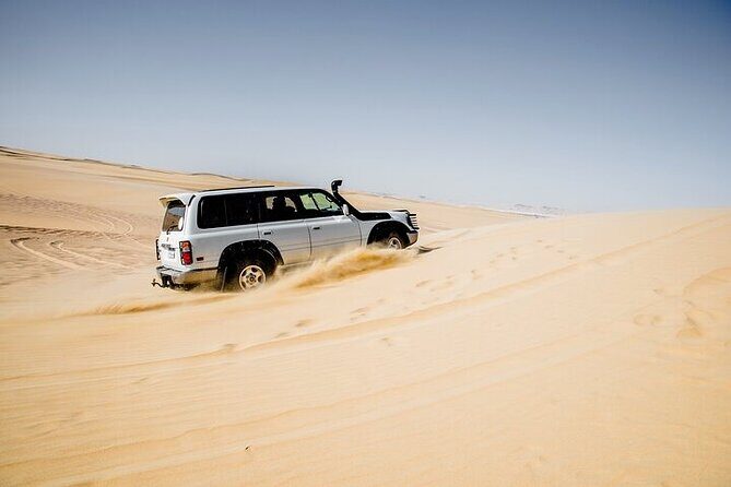 4x4 Desert Safari, Sandsurf, and Camel Ride from cairo with Lunch - Why This Tour Offers Great Value