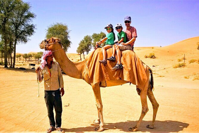 4x4 Desert Safari with BBQ Ras al Khaimah from Ras al Khaimah and Fujairah - What’s Included and What’s Not