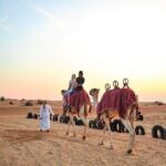 4x4 Dubai Desert Safari, Dune Bash, Camel Ride & BBQ - Why This Tour Offers Good Value