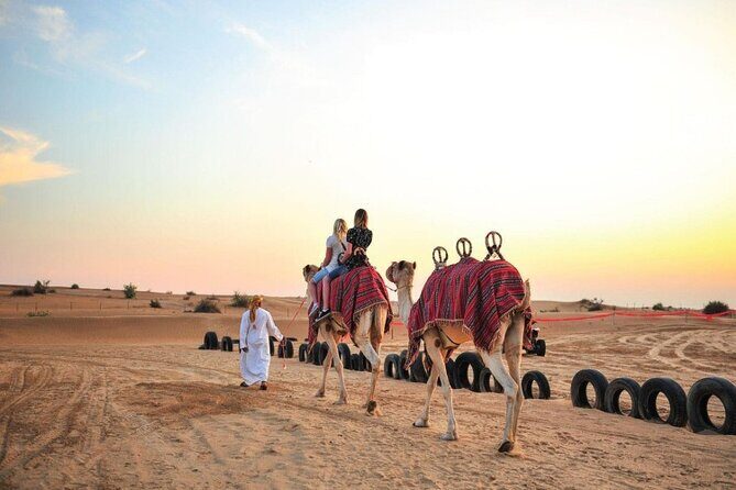 4x4 Dubai Desert Safari, Dune Bash, Camel Ride & BBQ - Why This Tour Offers Good Value