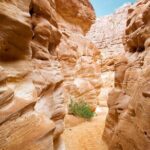 4x4 Jeep Adventure from Dahab - Lunch Cooked on Open Fire: A Taste of the Desert