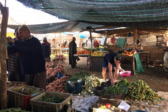 4x4 ride in the mountain atlas with lunch in a Berber house - Authentic Insights from Reviewers