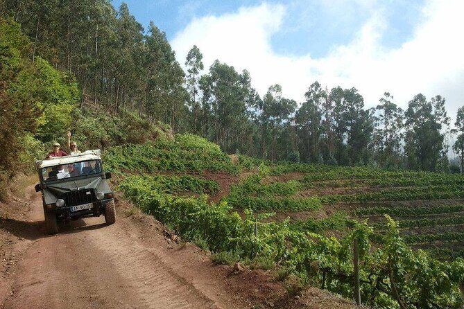 4x4 Safari Half day Poncha, Mountains, Vineyards and Cabo Girão Small group - The Sum Up: Is It Worth It?