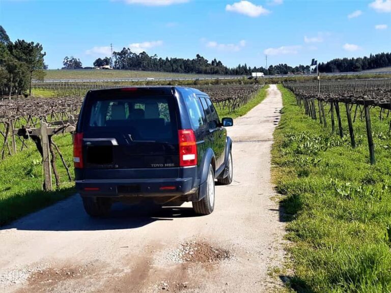 4x4 & Vinho Verde with transportation for the activity - Analyzing the Value