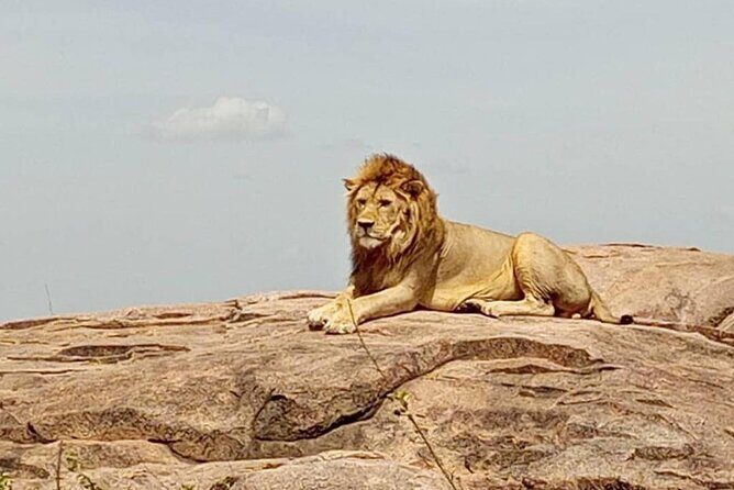 5 Day Camping Safari to Lake Manyara, Serengeti and Ngorongoro Crater - The Practicalities: Transportation, Accommodation, and Value