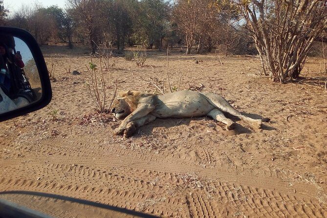 5-Day Explore Zimbabwe, Zambia and Botswana - What Sets This Tour Apart?