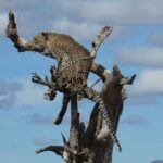 5-Day Group Tour Mid Range - What Reviewers Say