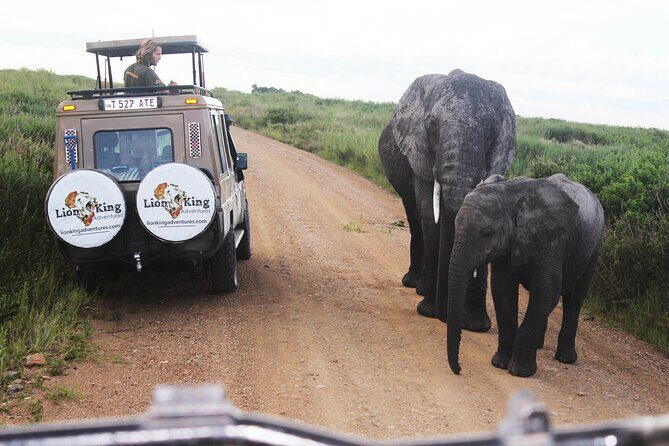5-Day Highlights mid-Range Crater, Serengeti, Tarangire - Why This Tour Comes Highly Recommended