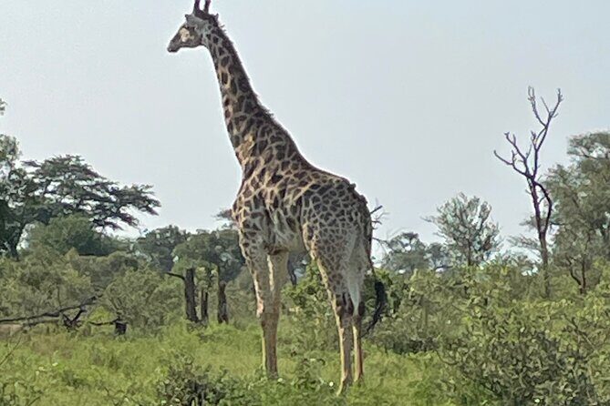 5 Day Kingdom of eSwatini, Kruger National Park & Panorama Route - The Experience and What It Means for You
