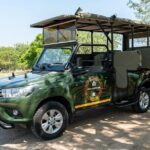 5 Day Kruger Glamping Safari and Panorama Tour - The Sum Up