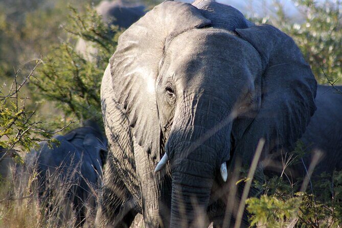 5 Day Kruger National Park tour - The Itinerary in Detail