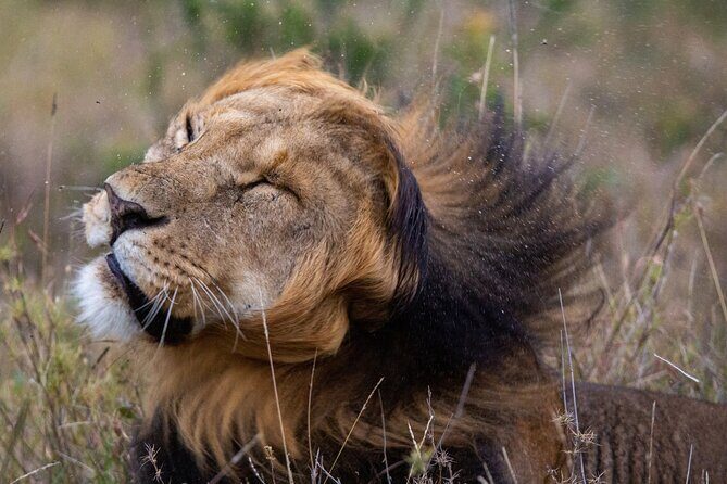 5-Day Lakes and Masai Mara Plains 4 x 4 Safari - Practical Aspects: Transportation, Accommodation, and Comfort
