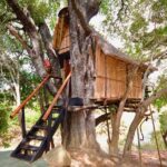 5 Day Lodge and Treehouse Kruger National Park Safari - FAQ