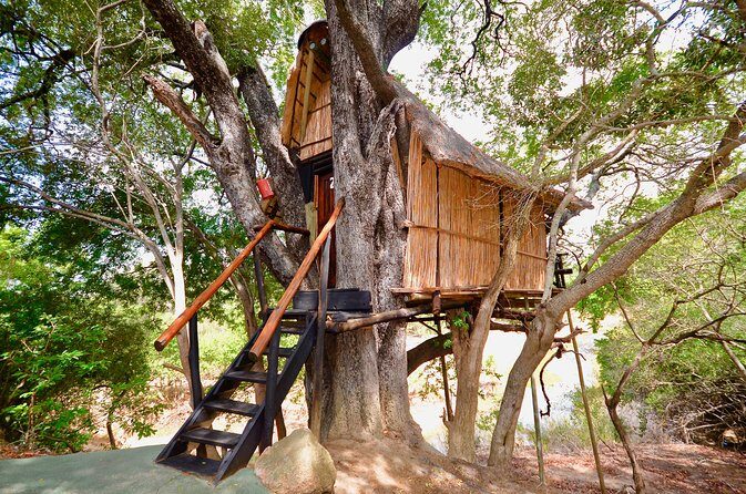 5 Day Lodge and Treehouse Kruger National Park Safari - FAQ