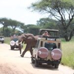 5 Day Mid range Tanzania Safari - What Sets This Tour Apart