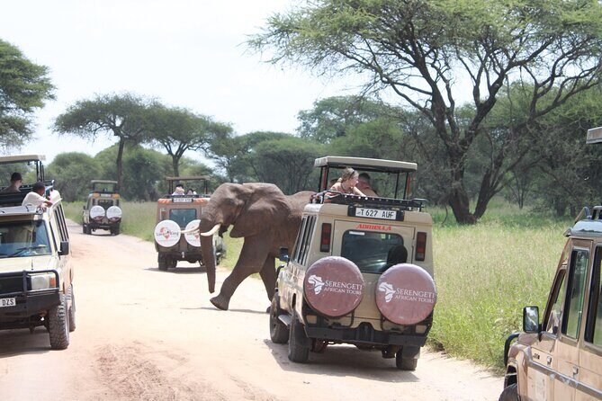 5 Day Mid range Tanzania Safari - What Sets This Tour Apart